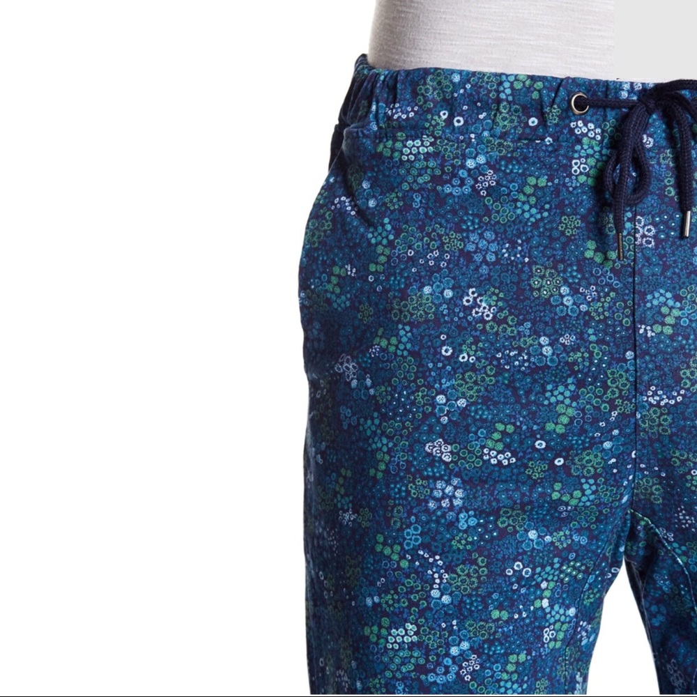 NEW Nordstrom Public Opinion Shorts - Picture 3 of 4